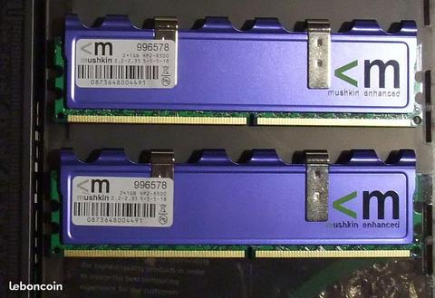 Barrettes Mushkin DDR2 2x1go