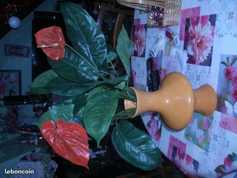 Vase disgn avec fleur anthurium