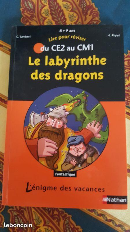 Livre éducatif CE2 - CM1 Le labyrinthe des dragons
