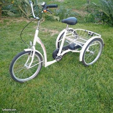 Tricycle adulte