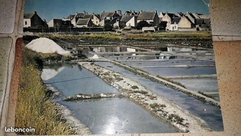 carte postale presqu'île Guérande 15×21 cm
