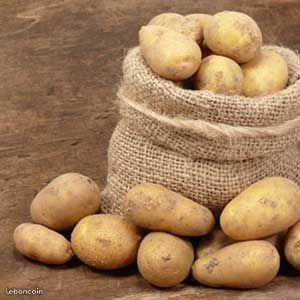 Pommes de terre 5-10-25 kg