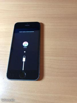 iPhone 5s 16go gris sidéral