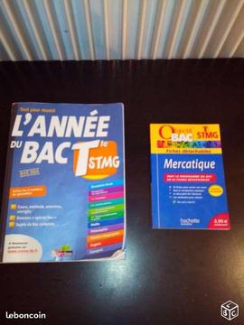 L année du Bac Stmg + mercatique Stmg