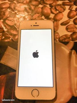 iPhone 5S blanc 16GO