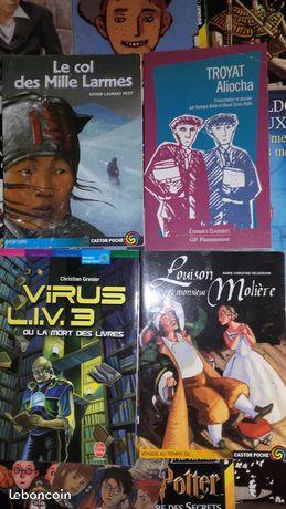 Livres, romans