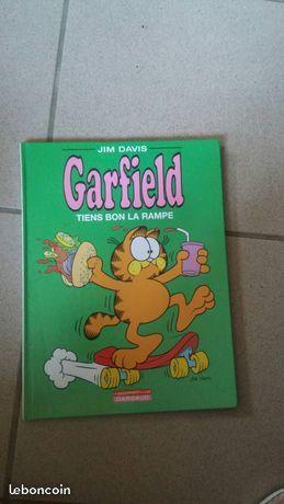 Garfield tiens bon la rampe