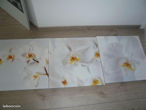 Tableau orchidée
