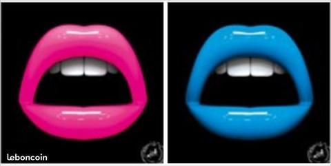 DESIGN: Tableaux Lipstick 3D plexiglas J&J MOATTI