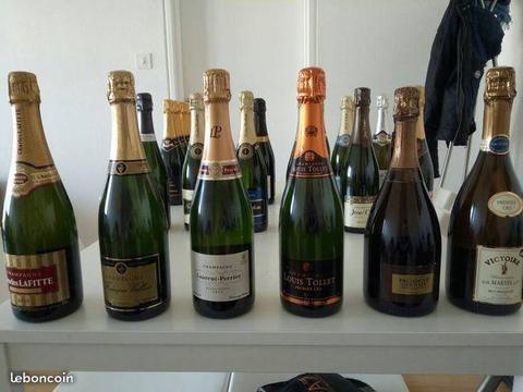 Lot bouteilles champagne