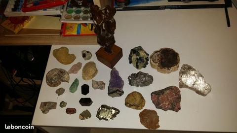 Collection mineraux et fossiles