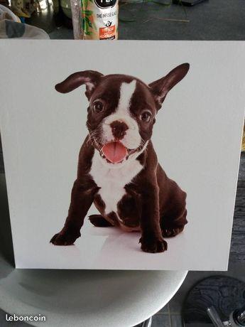 Tableau petit modèle bouledogue