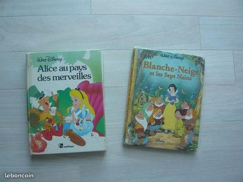 2 gros livres Disney