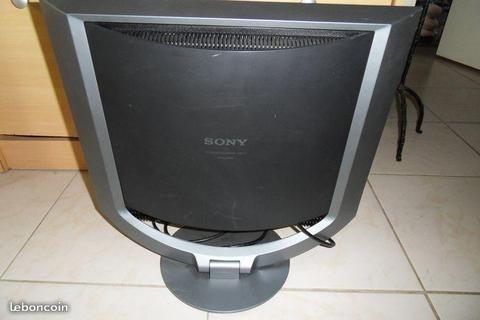 Écran d'ordinateur Sony (kiki.31)