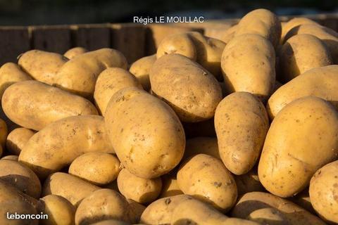 Pommes de terre livré en Morbihan