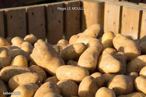 Pommes de terre livré en Loire Atlantique