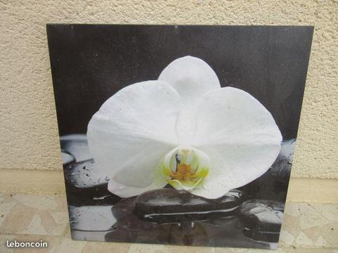 Toile cadre orchidée