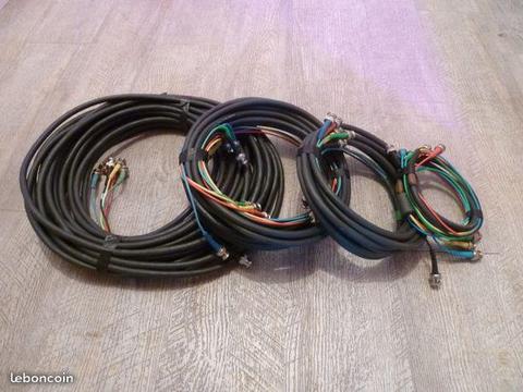 Cable RVBHV - BNC x 5 Extron ( Milo 92 )