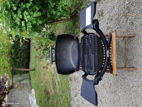 Barbecue à gaz Weber Q1200