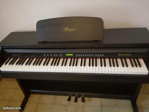 PIANO Allegro Rosewood 8865 DELSON