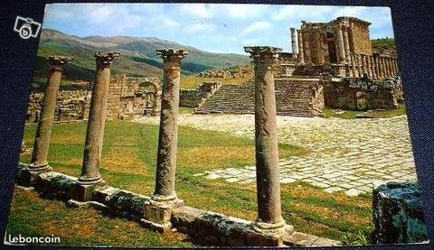 CP Algérie - DJEMILA Temple des Sévères