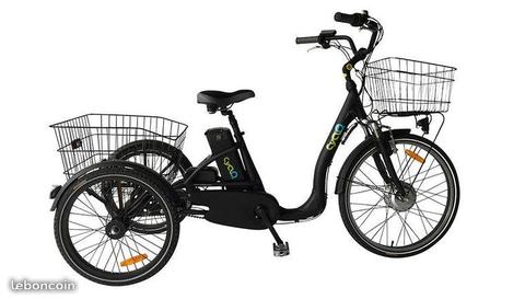 Vélo Tricycle électrique pour adultes