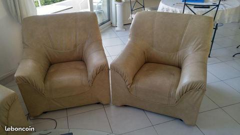 2 fauteuils beige fonce