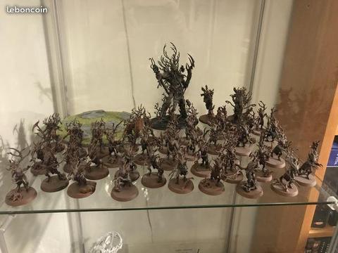 Warhammer Age of Sigmar armée Sylvaneth Lot