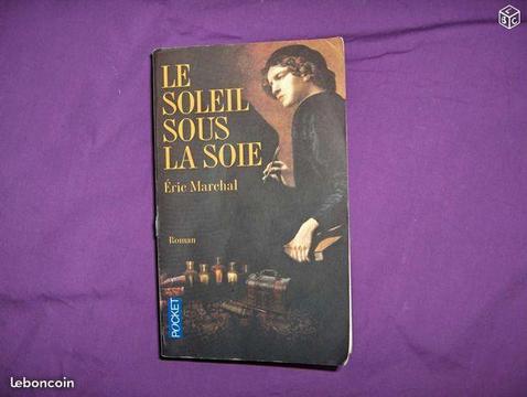 Le soleil sous la soie Roman d'Eric Marchal