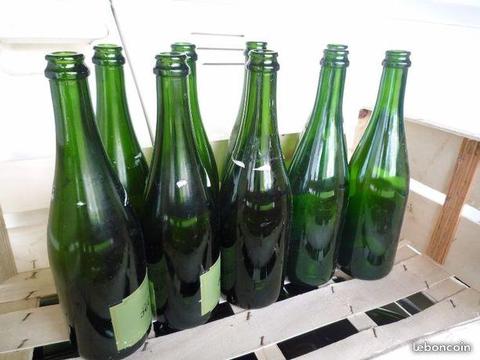 100 Bouteilles vides champenoises rincées