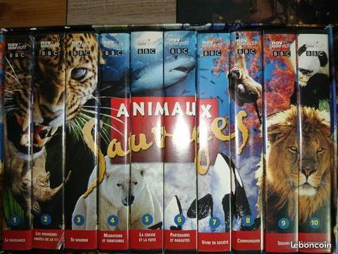 cassettes animaux sauvages