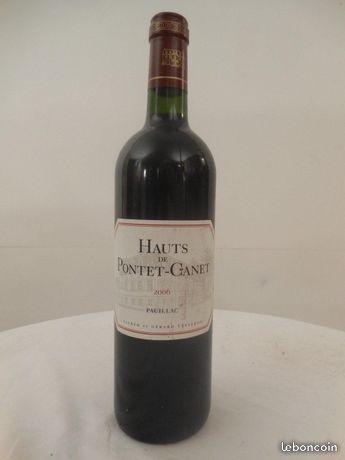 Hauts de pontet-canet 2006 pauillac