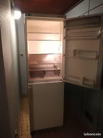 frigo congelateur livraison gratuit