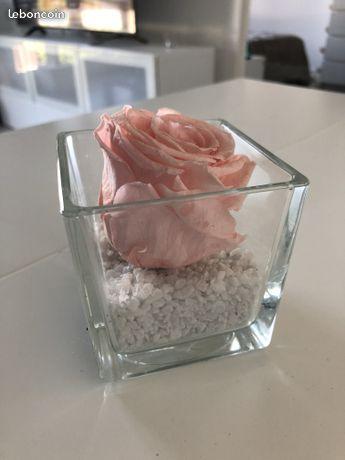 Rose séchée en pot