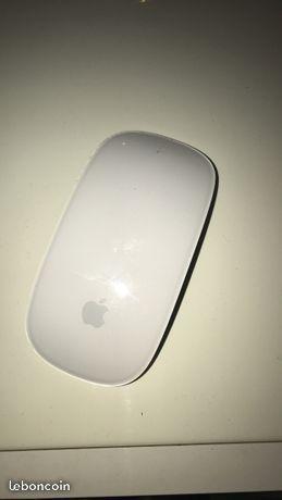 Souris Mac