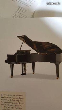 piano de concert