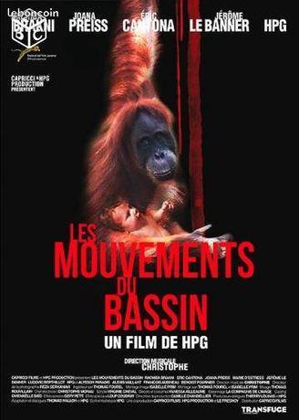 Les mouvements du bassin - HPG